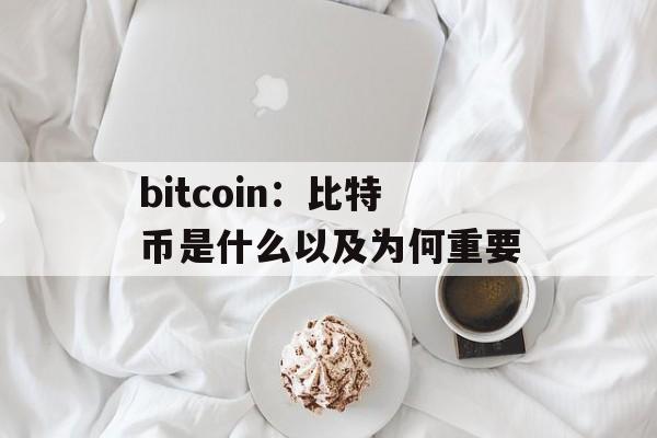 bitcoin：比特币是什么以及为何重要